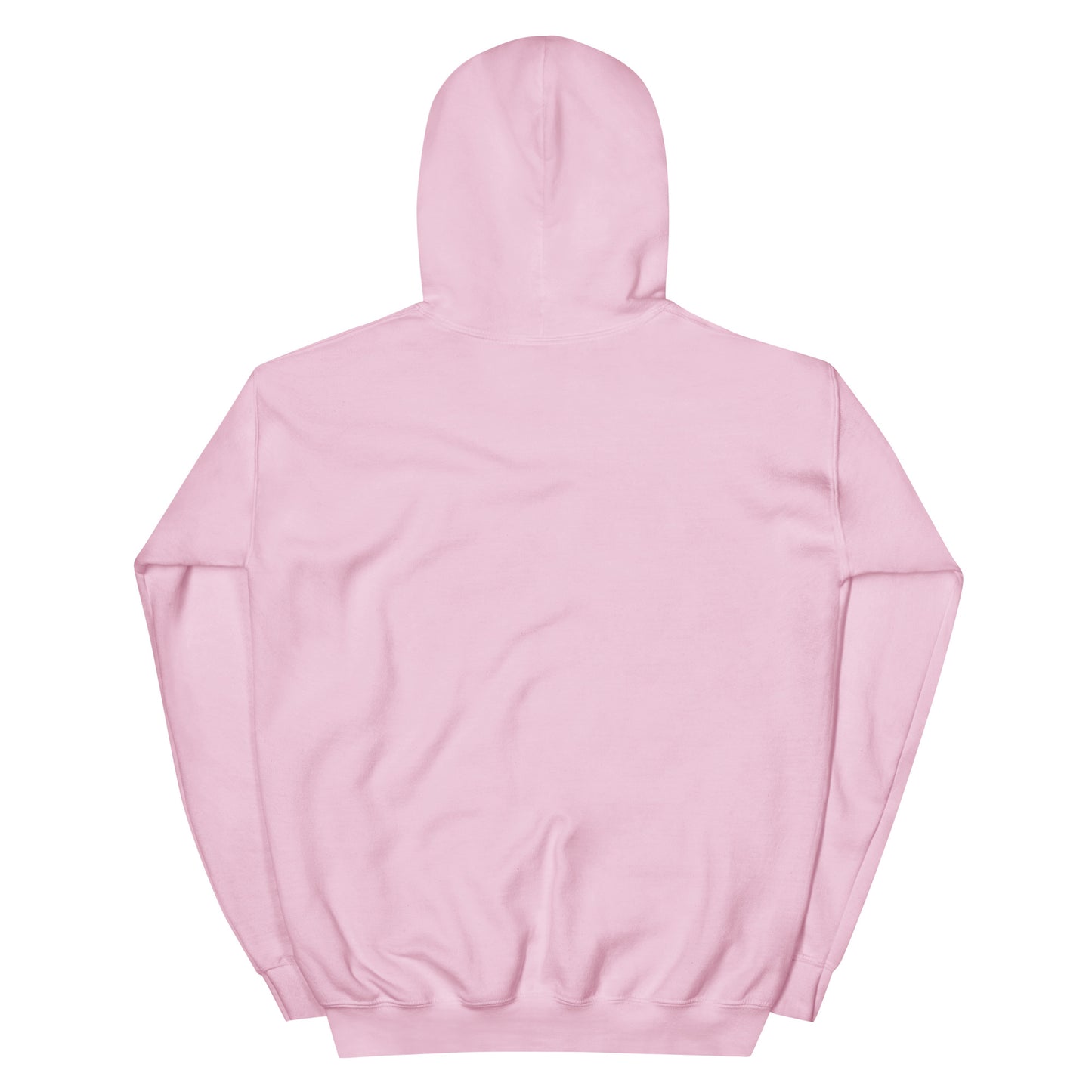 Go Nuts for Life Hoodie light pink back