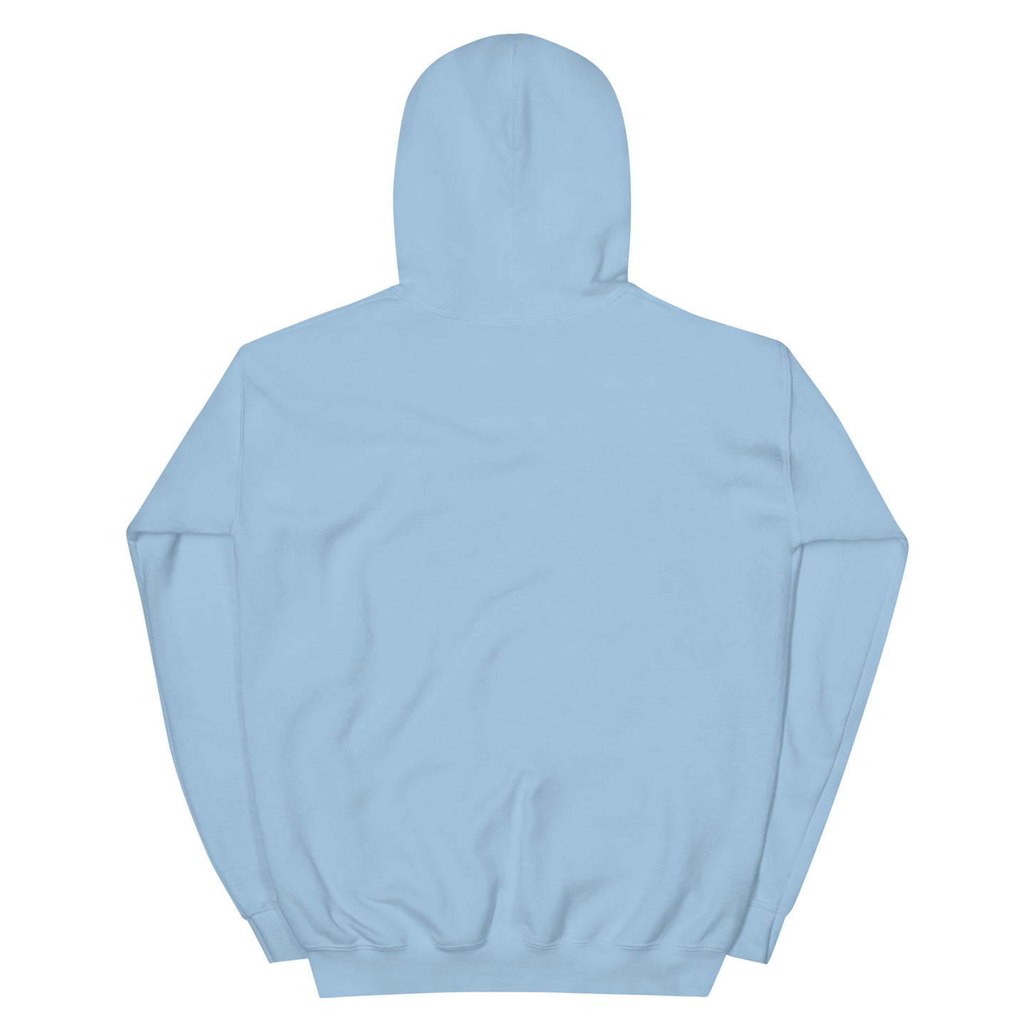Go Nuts for Life Hoodie Light blue back