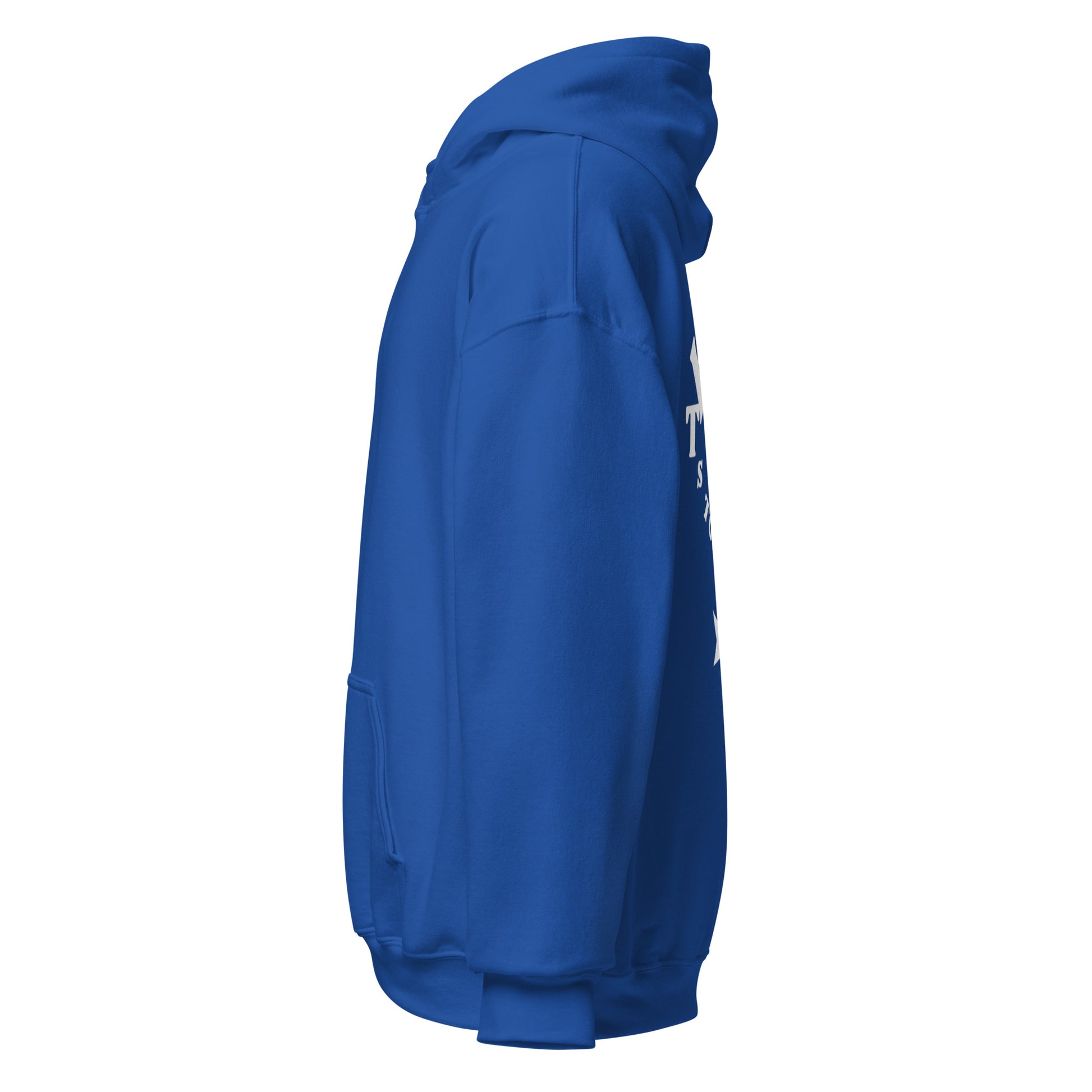 Let_s_Watch_The_Stars_Together_Hoodie Royal Blue Left Side