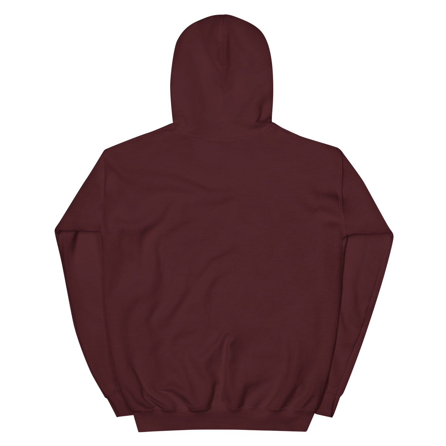 Minimalist Anchor Hoodie macroon back