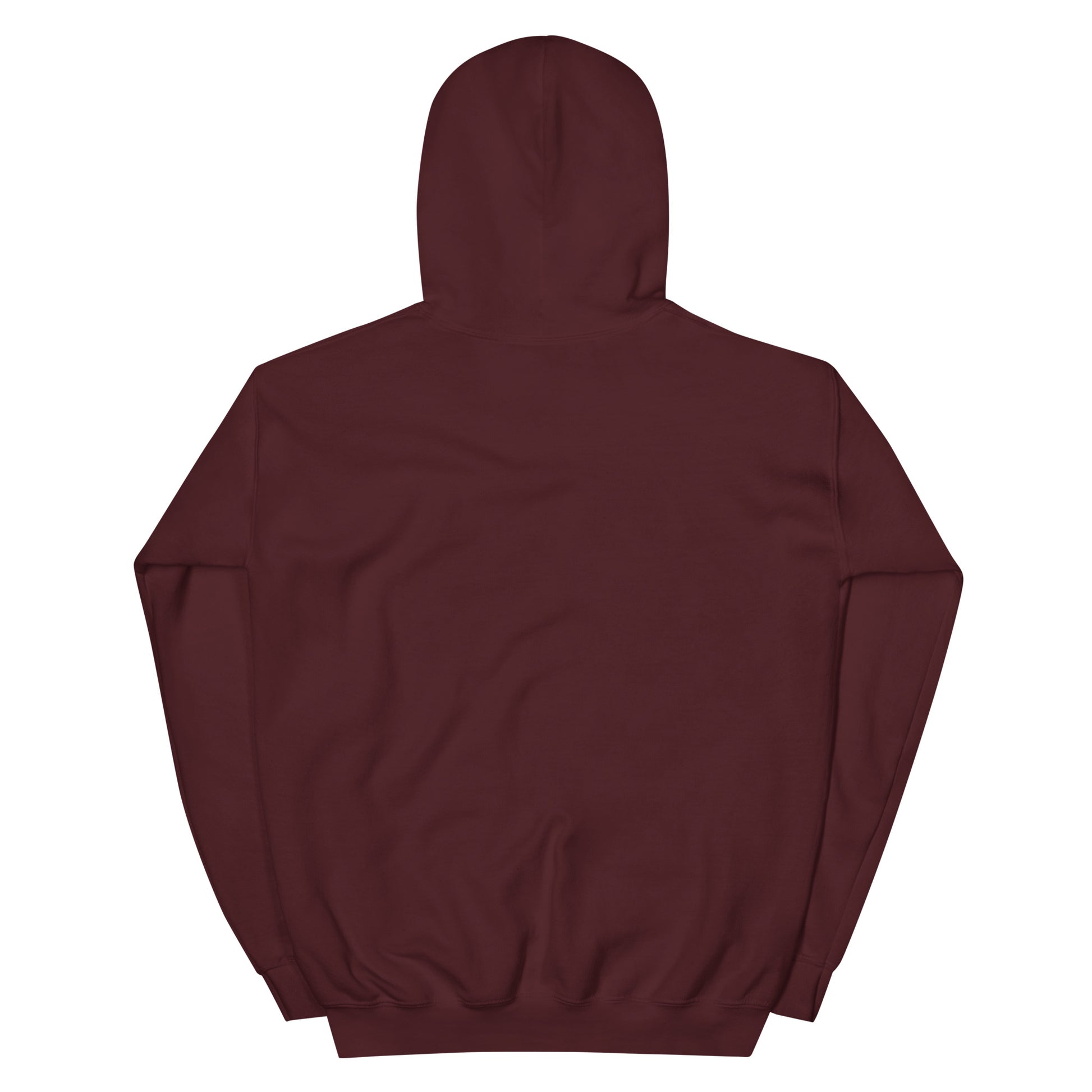 Minimalist Anchor Hoodie macroon back